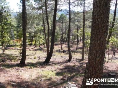 Castañar de la Sierra de San Vicente - Convento del Piélago;excursiones cerca de madrid con encant